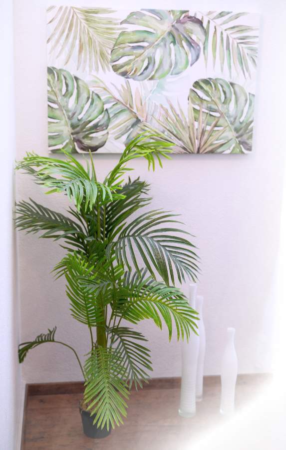 Palme